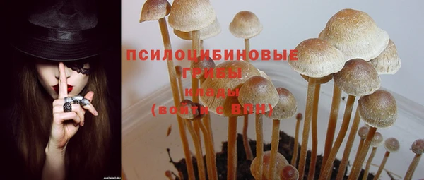 MDMA Premium VHQ Гусев