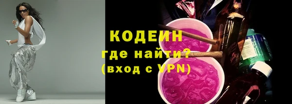 ГАЛЛЮЦИНОГЕННЫЕ ГРИБЫ Гусь-Хрустальный