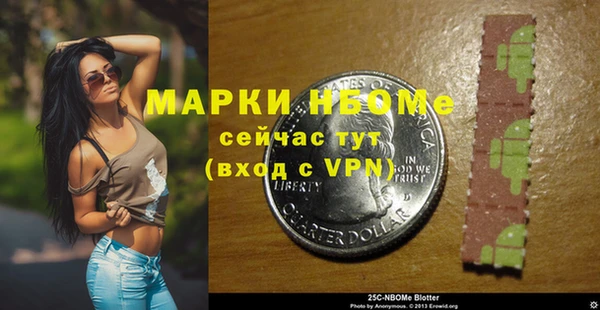 ГАЛЛЮЦИНОГЕННЫЕ ГРИБЫ Гусь-Хрустальный