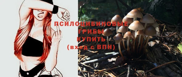 ГАЛЛЮЦИНОГЕННЫЕ ГРИБЫ Гусь-Хрустальный